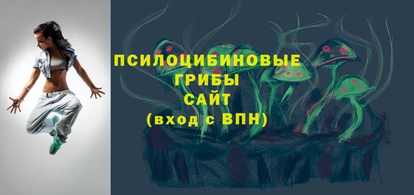 крисы Новодвинск