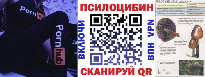 продажа наркотиков  Сарапул  Галлюциногенные грибы Magic Shrooms 