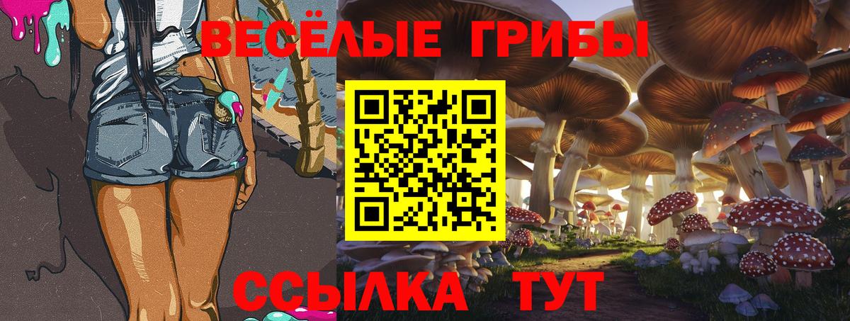 Псилоцибиновые грибы MAGIC MUSHROOMS Сарапул