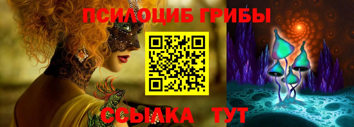 сколько стоит  Псилоцибиновые грибы GOLDEN TEACHER  Сарапул  Галлюциногенные грибы Psilocybe 
